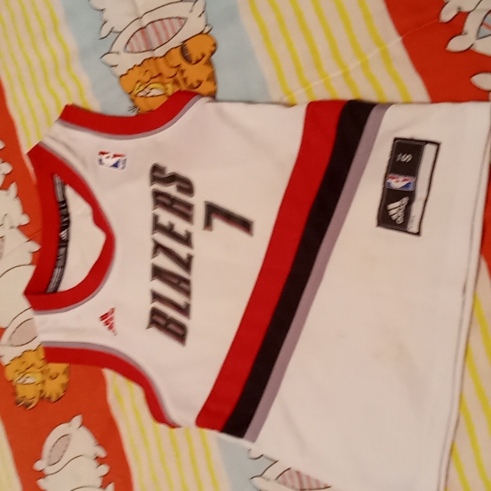 Vintage Brandon Roy #7 TRAILBLAZERS NBA 🏀 Jersey, Youth size Small